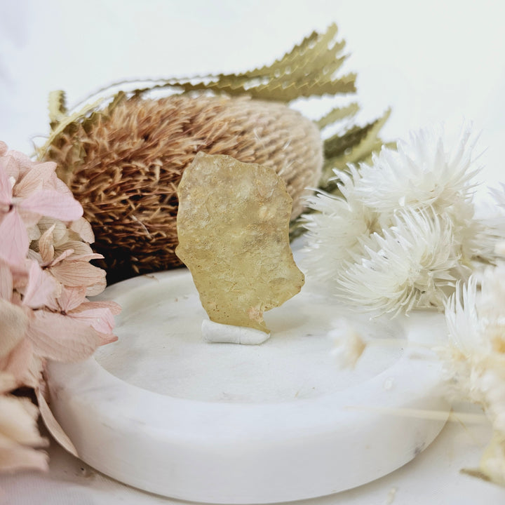 Libyan Desert Glass Specimen