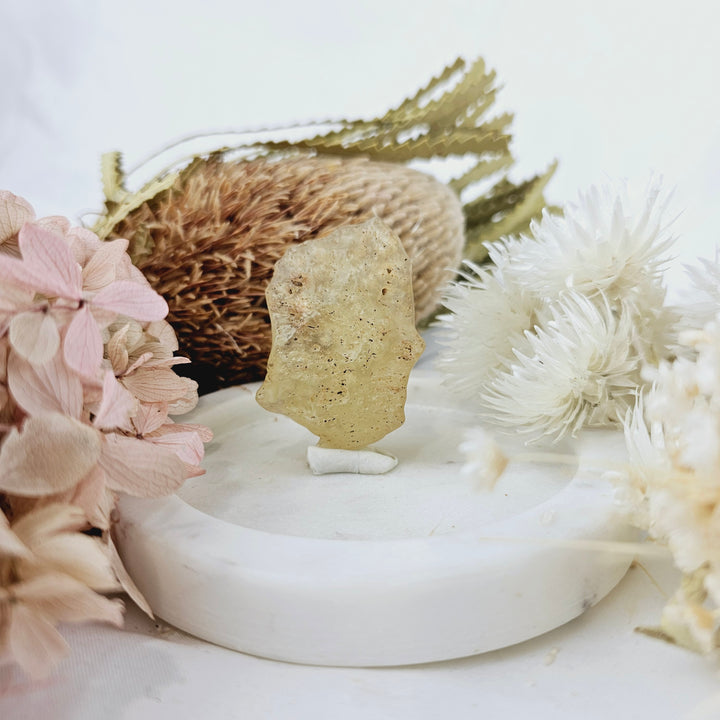 Libyan Desert Glass Specimen