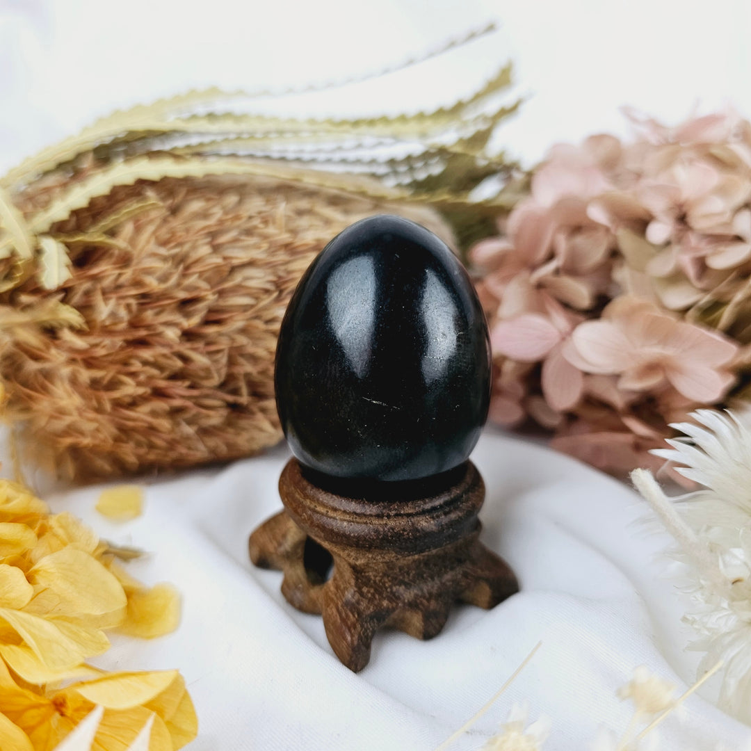Shungite Egg