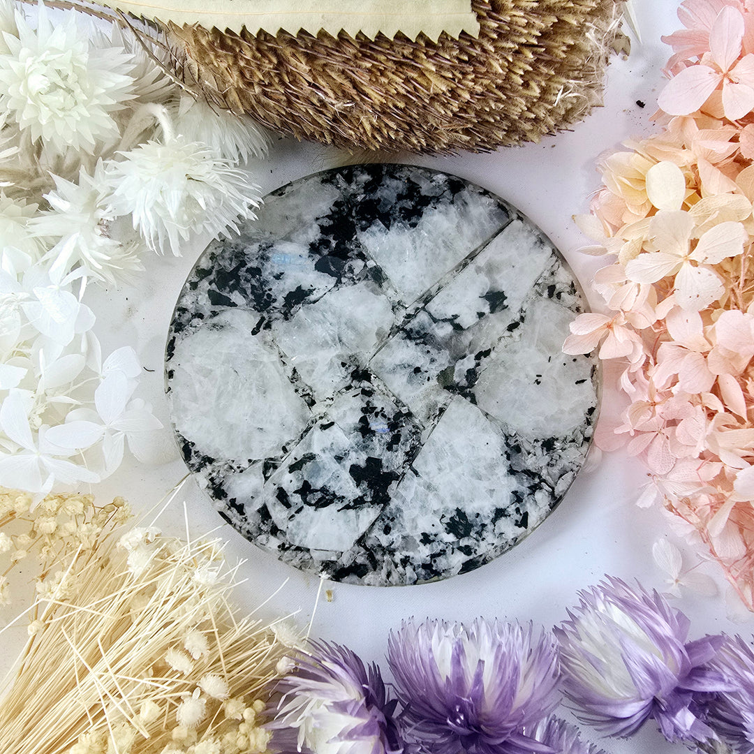 Rainbow Moonstone Coaster
