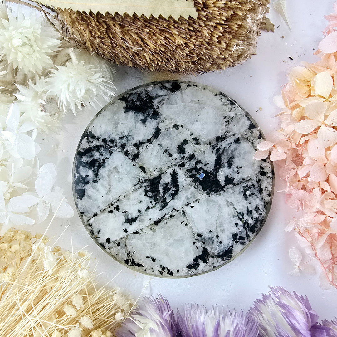 Rainbow Moonstone Coaster