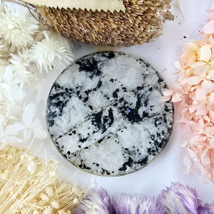 Rainbow Moonstone Coaster