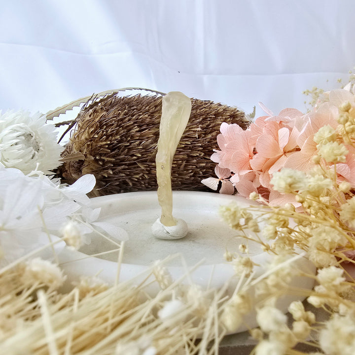 Libyan Desert Glass Specimen