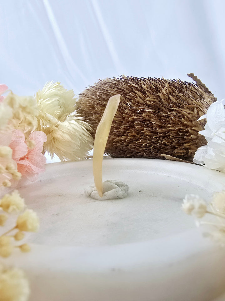 Libyan Desert Glass (Angel Chime) Specimen