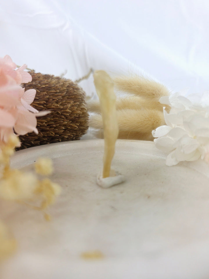 Libyan Desert Glass Specimen