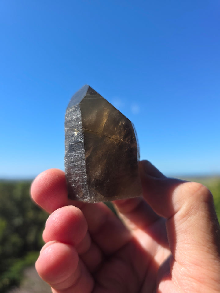 Lemurian Smoky Quartz Tower