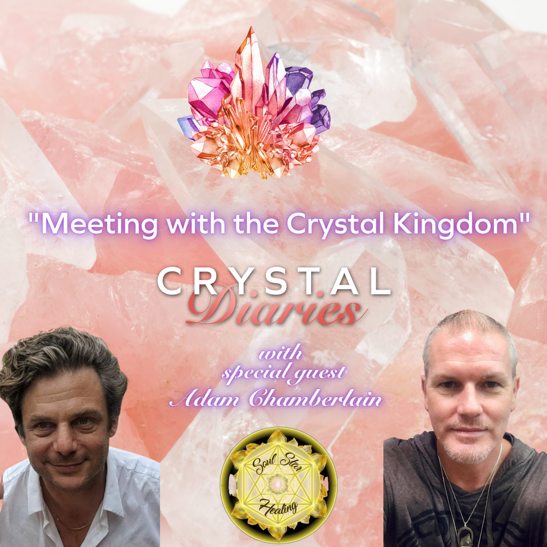 Meeting with the Crystal Kingdom