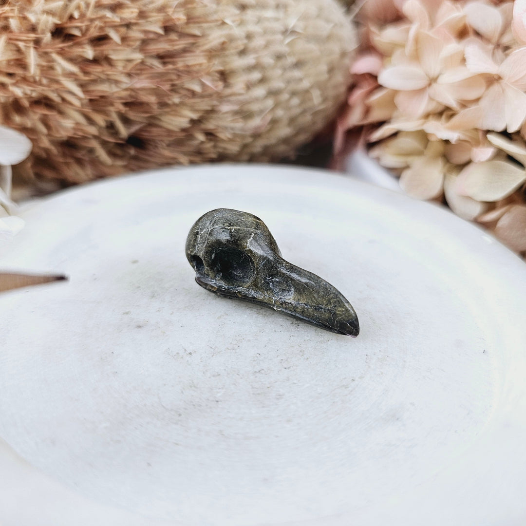 Stitchtite Raven Skull