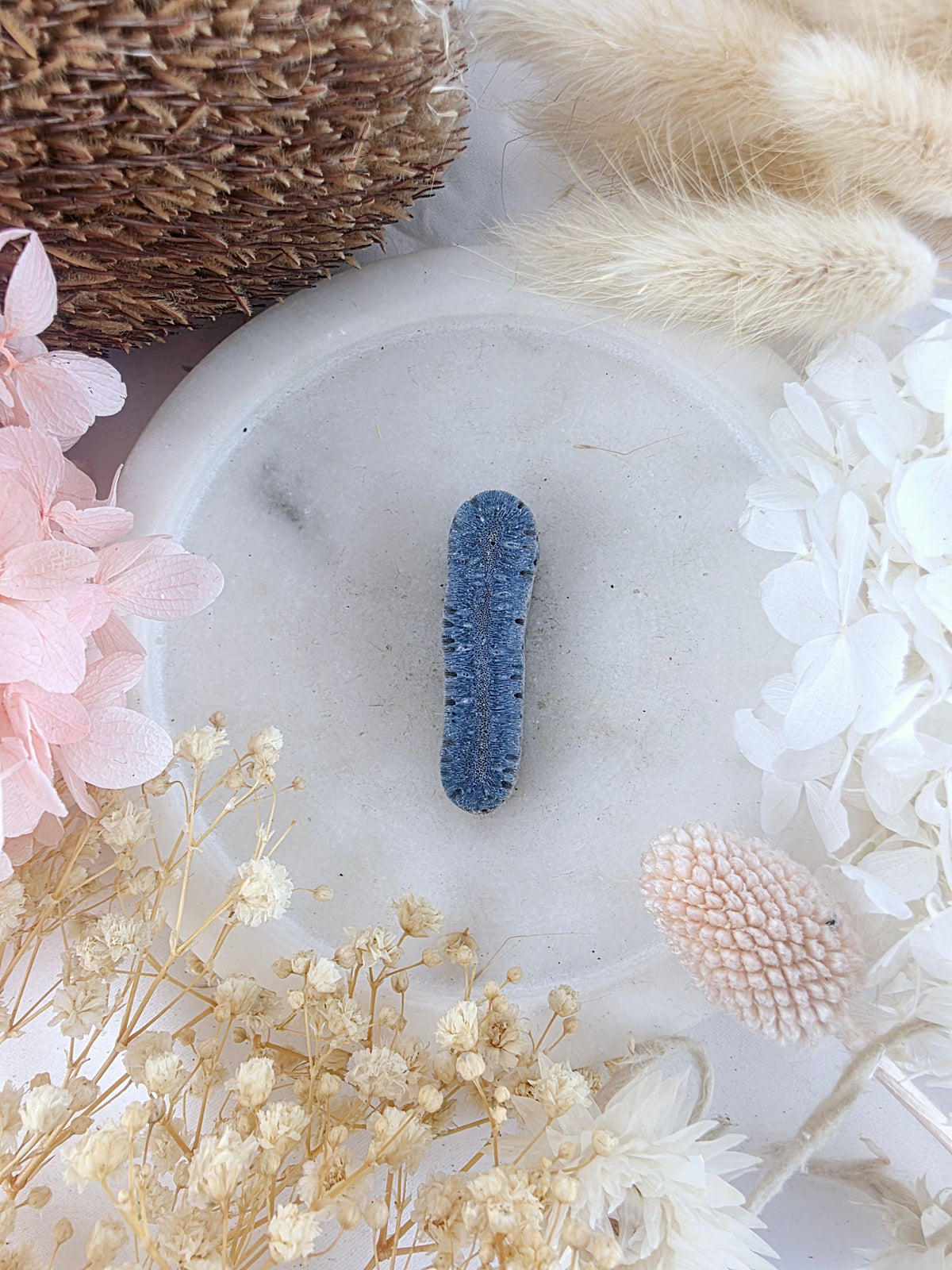 Blue Coral Pendant