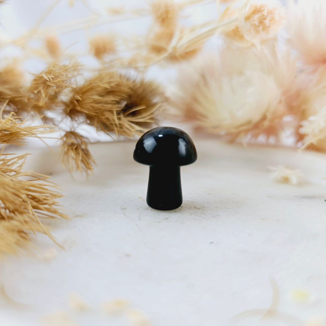 Black Obsidian Mushrooms