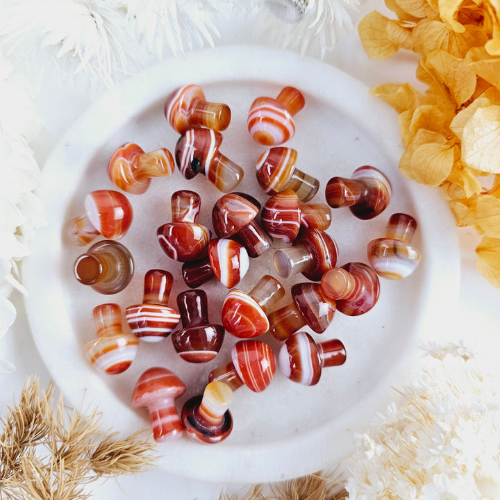 Carnelian Mushroom