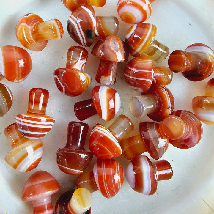 Carnelian Mushroom