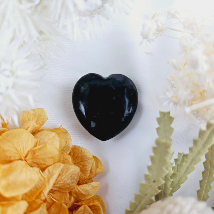 Shungite Heart