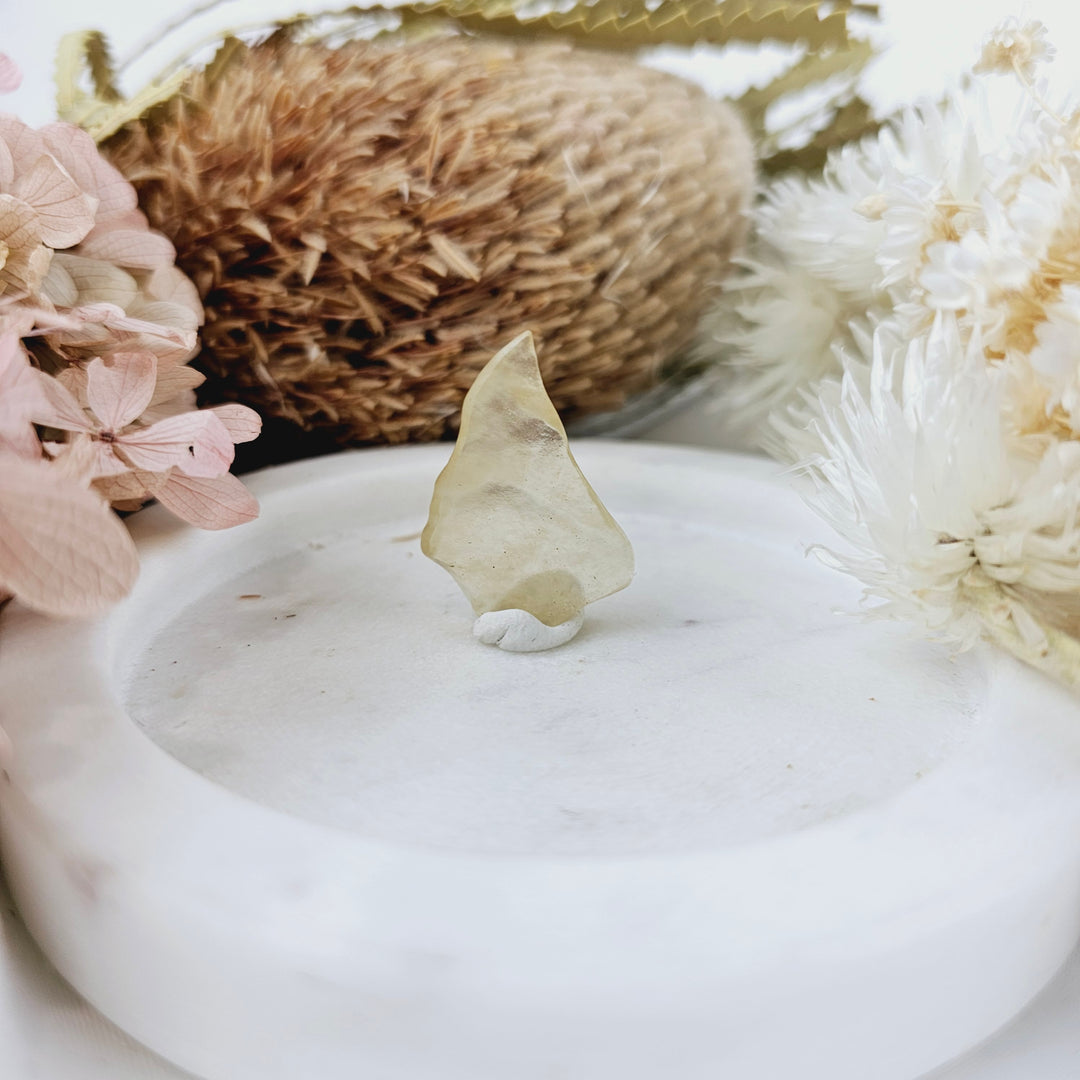 Libyan Desert Glass Specimen