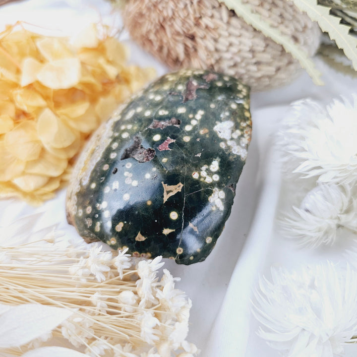 Ocean Jasper Polished Rough