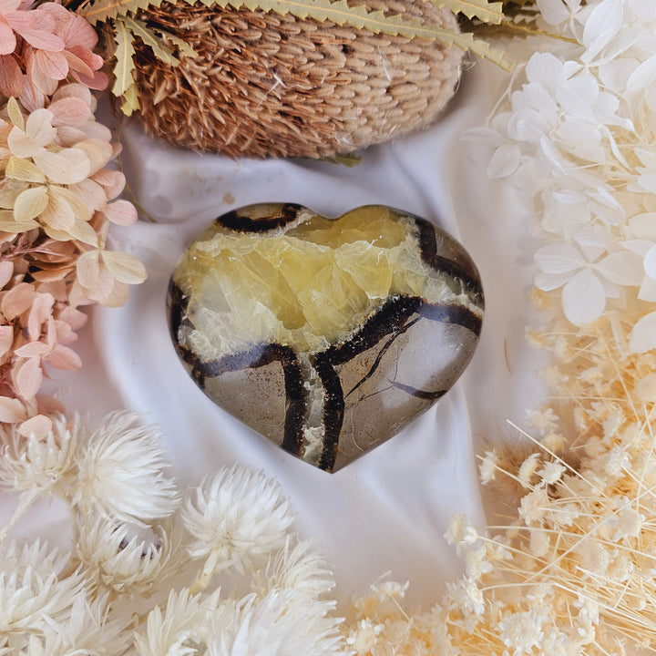 Septarian Nodule Heart