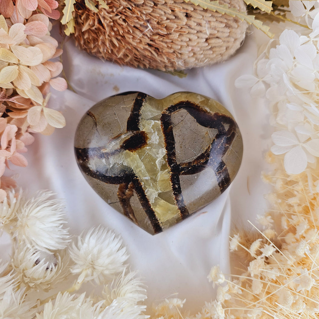 Septarian Nodule Heart