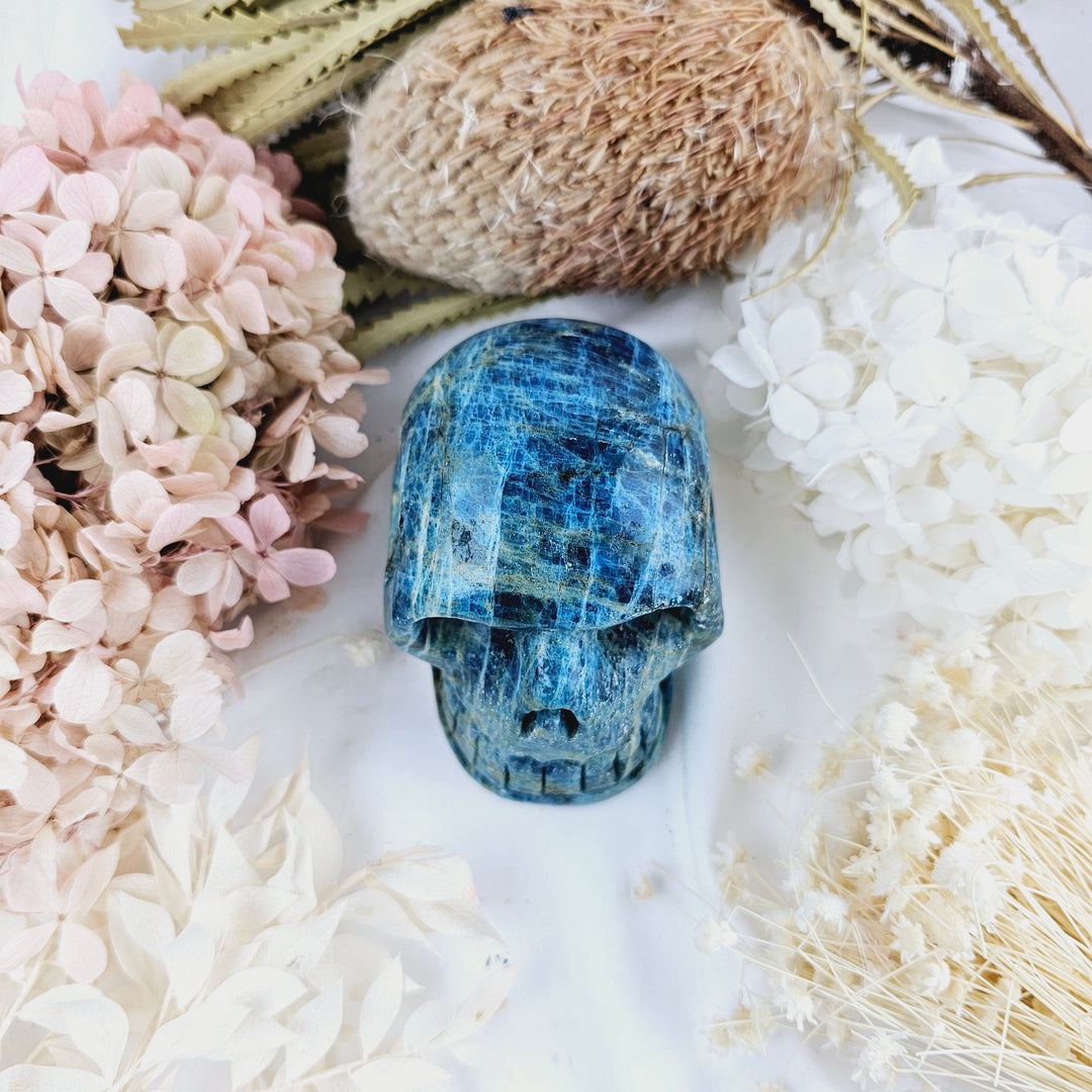 Blue Apatite Skull