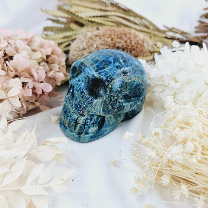 Blue Apatite Skull