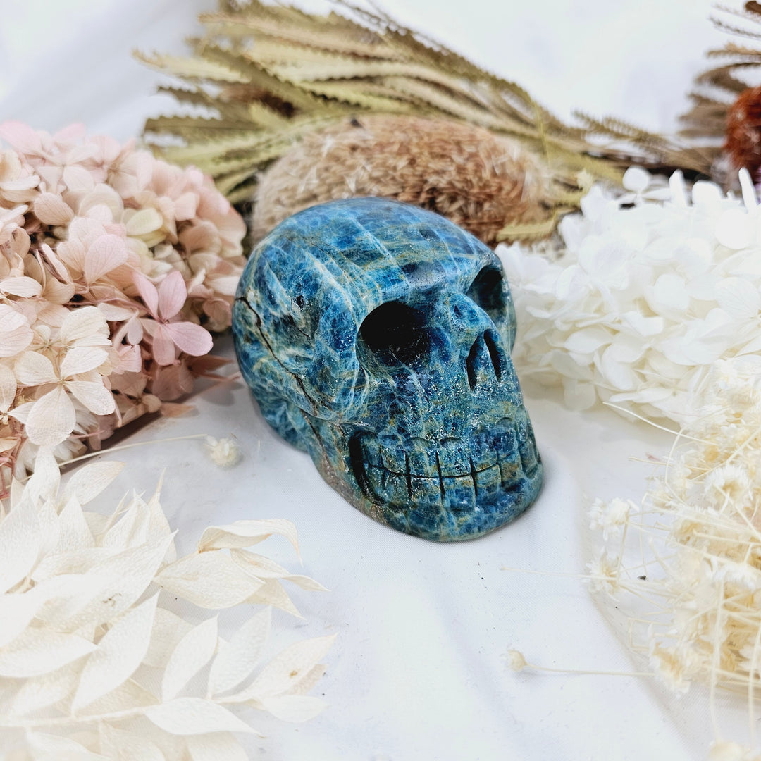 Blue Apatite Skull