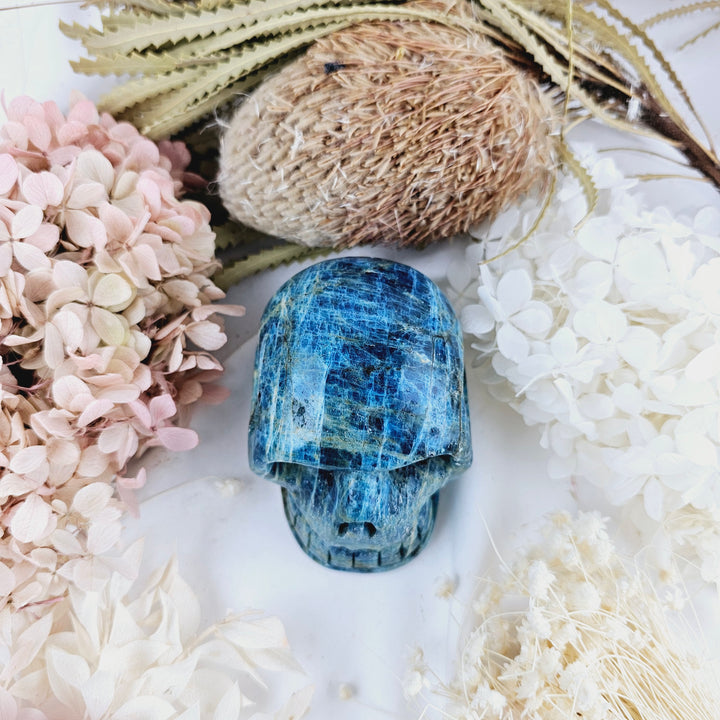 Blue Apatite Skull