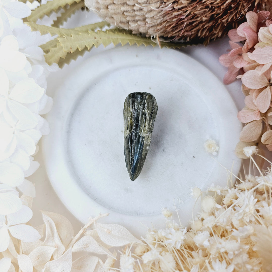 Labradorite Raven Skull Pendant