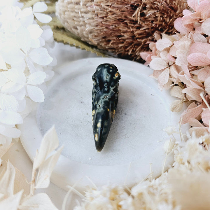 Ocean Jasper Raven Skull Pendant