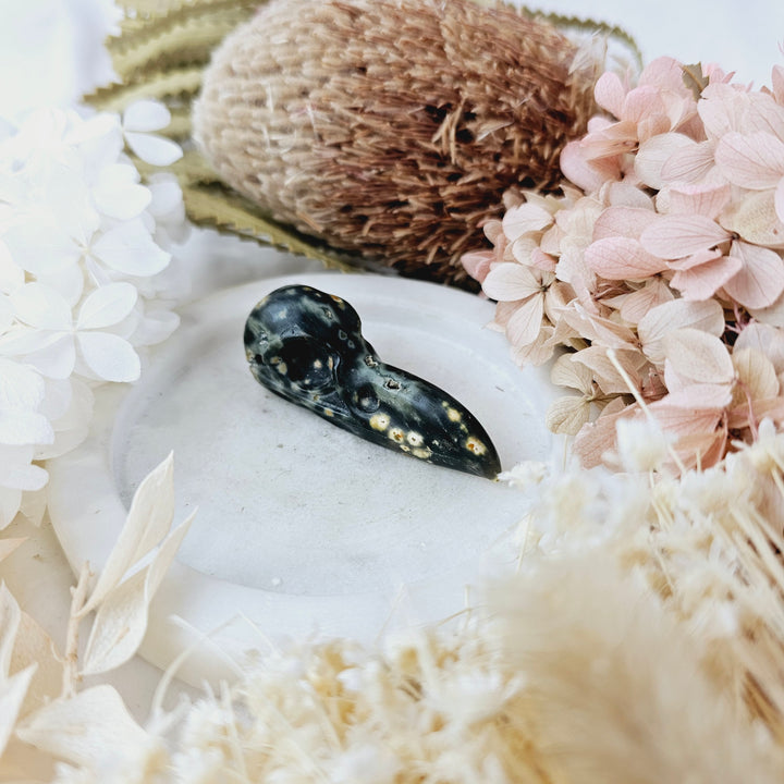 Ocean Jasper Raven Skull Pendant