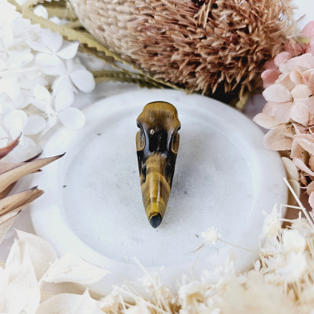 Tigers Eye Raven Skull