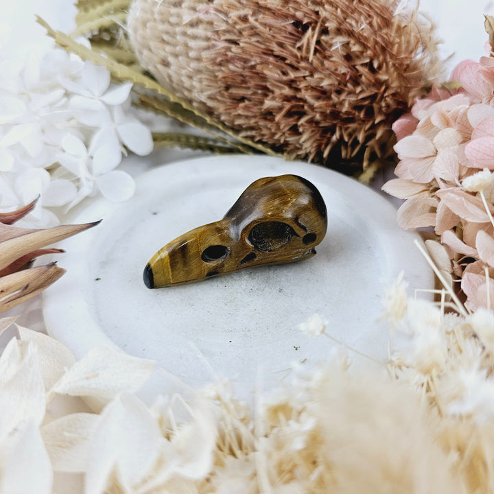 Tigers Eye Raven Skull