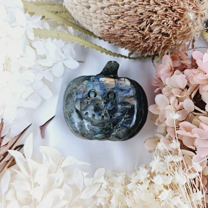 Labradorite Pumpkin Skull