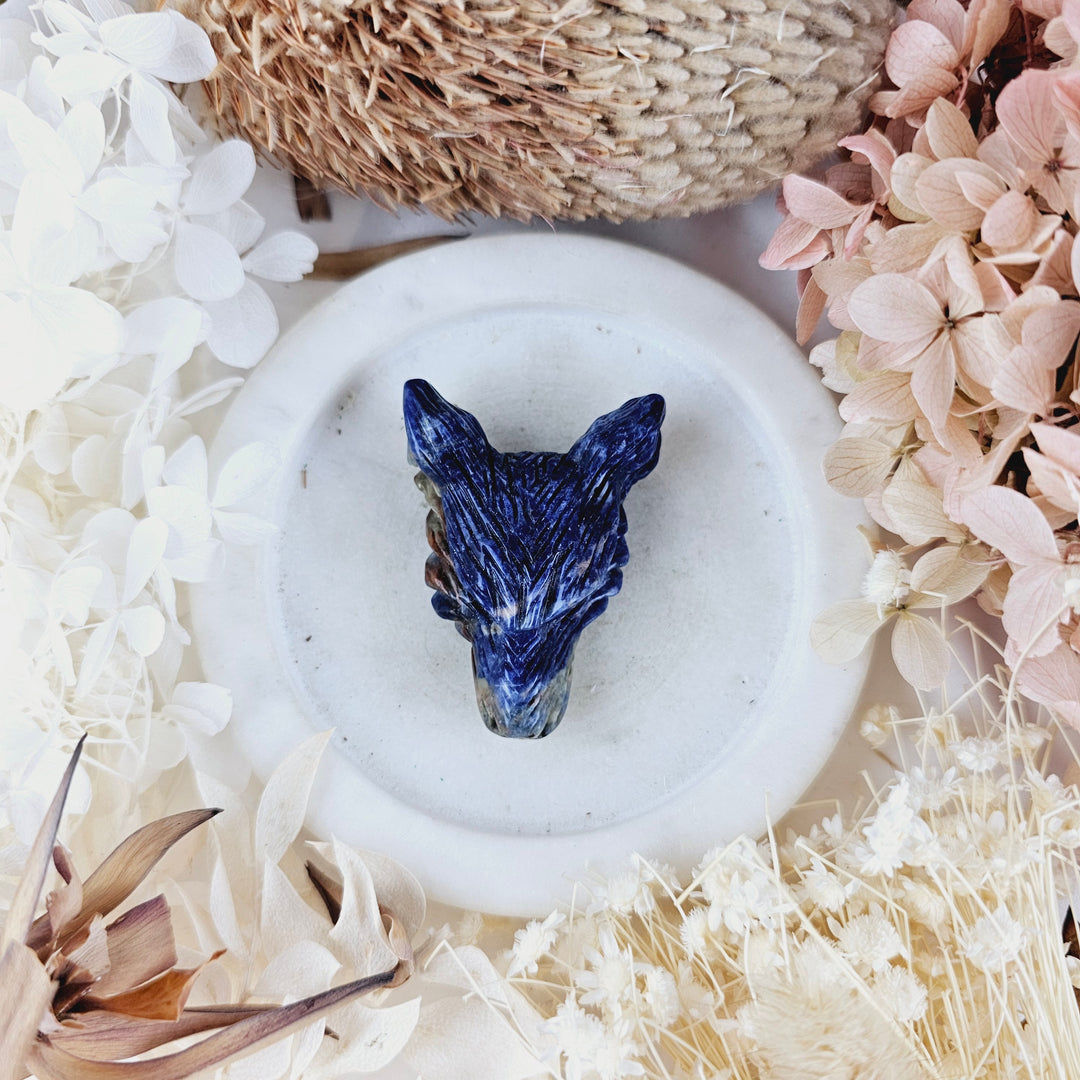 Sodalite Wolf Head Pendant