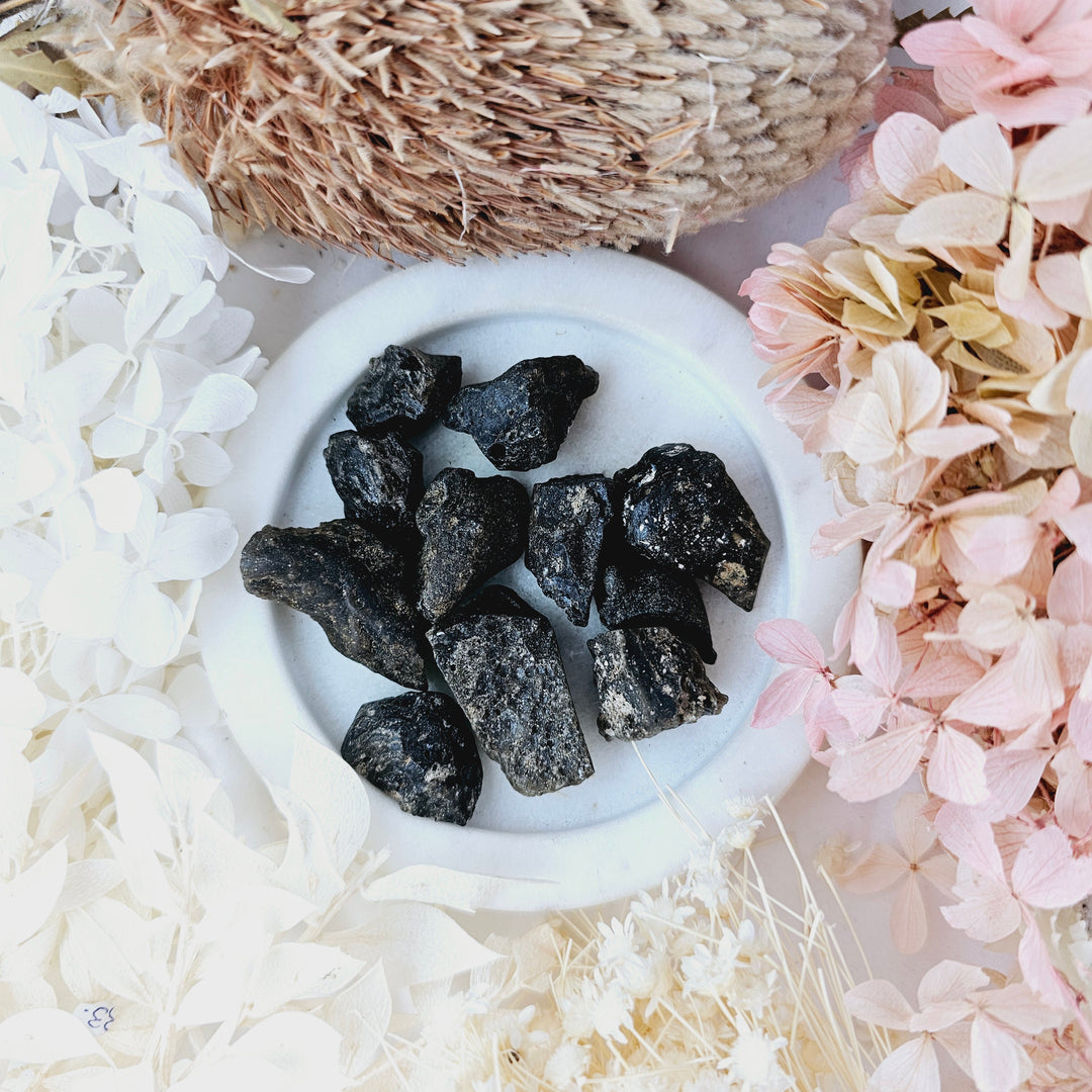 Darwin Glass Tektite