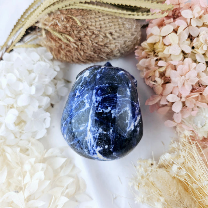 Sodalite Skull