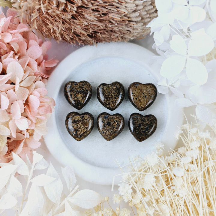 Bronzite Heart Pendant