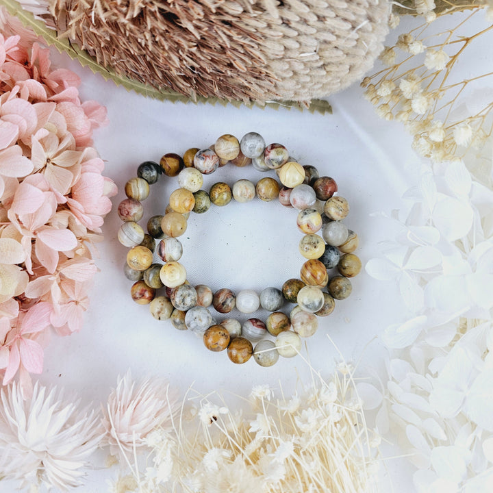 Crazy Lace Agate Bracelet - 8mm