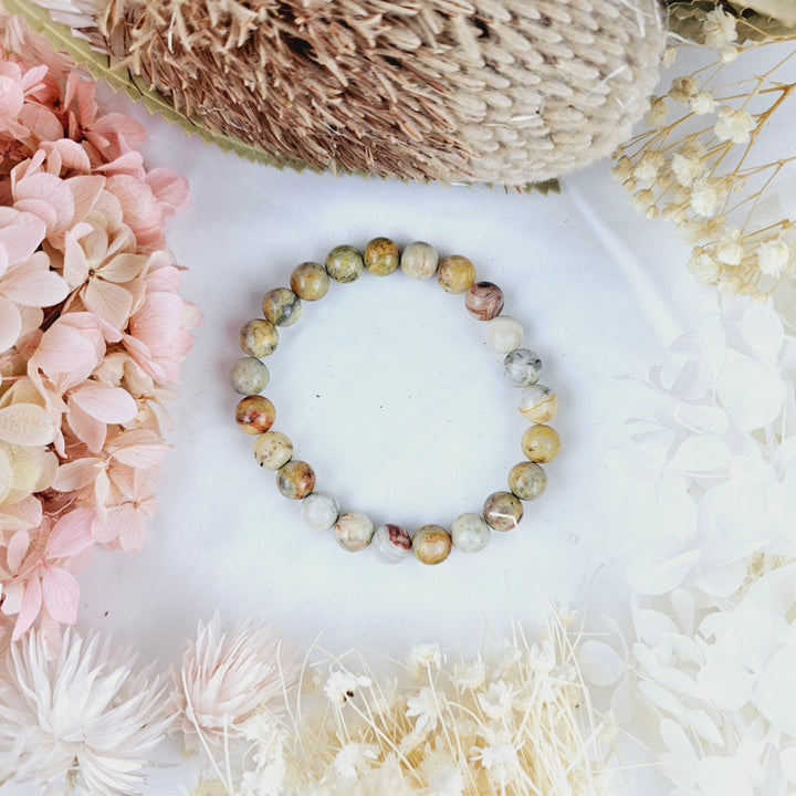 Crazy Lace Agate Bracelet - 8mm