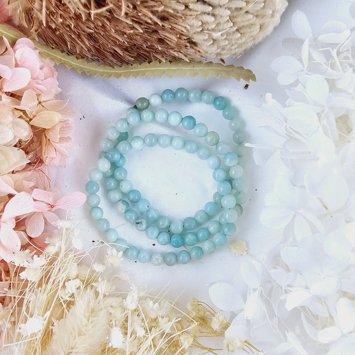 Amazonite Bracelet - 6mm #1
