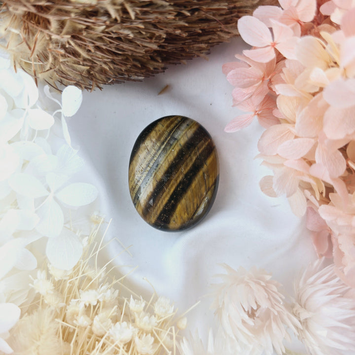 Tigers Eye Palm Stone
