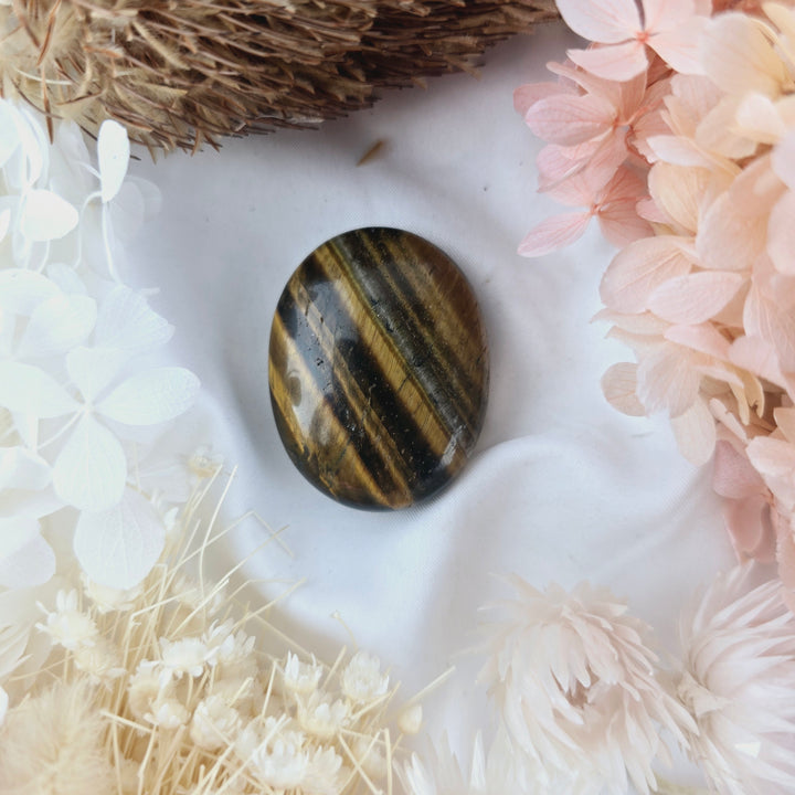 Tigers Eye Palm Stone