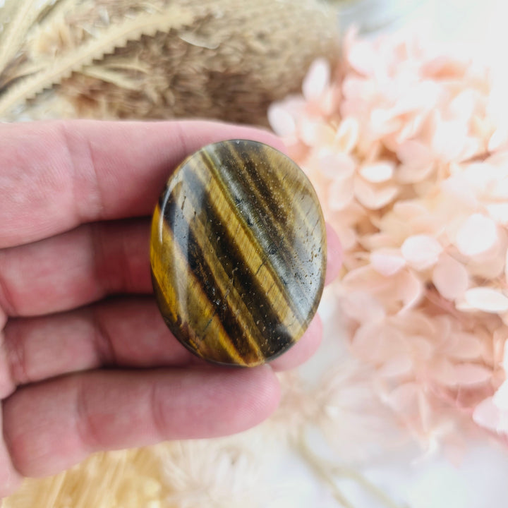 Tigers Eye Palm Stone