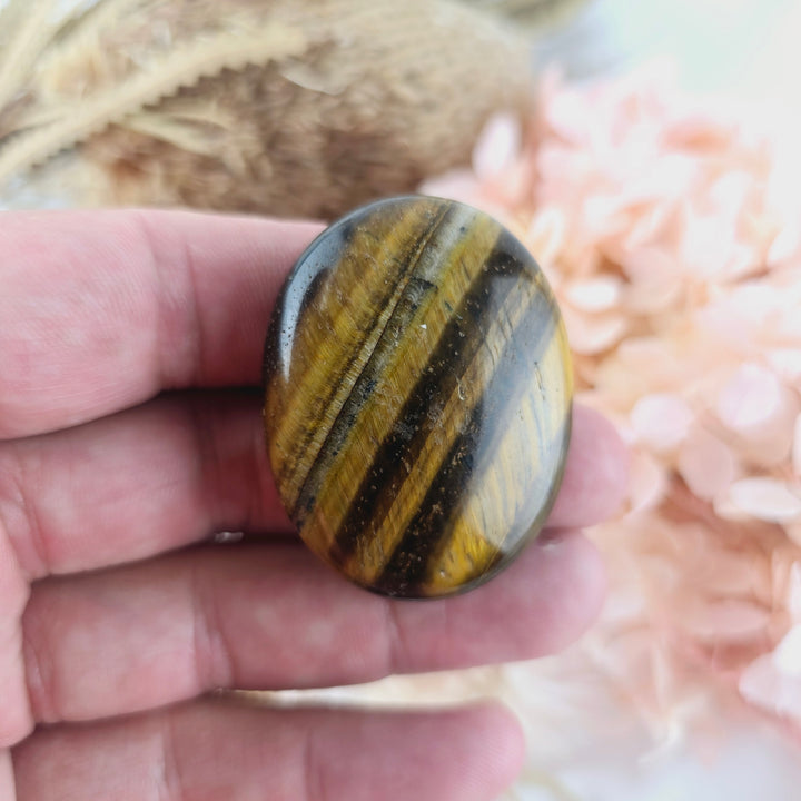 Tigers Eye Palm Stone
