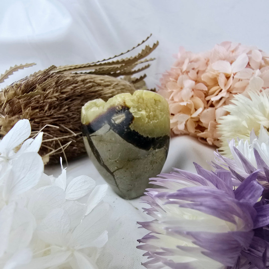Septarian Nodule Free Form with Yellow Druze