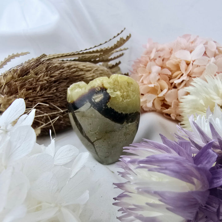 Septarian Nodule Free Form with Yellow Druze