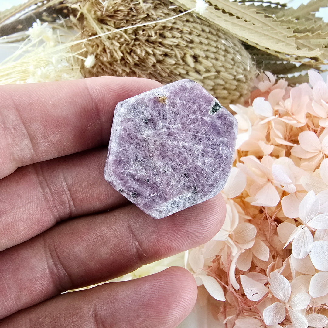 Ruby Natural Record Keeper