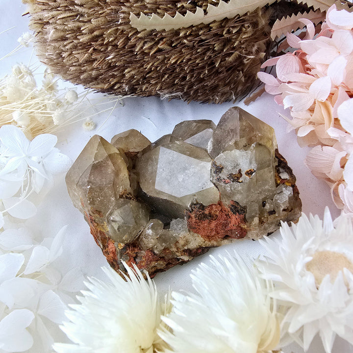 Kundalini Citrine Cluster Specimen