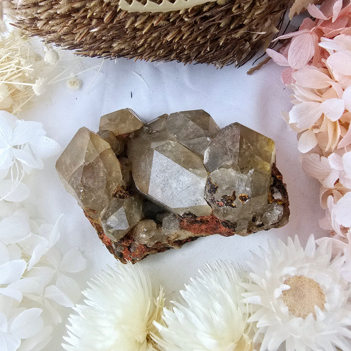 Kundalini Citrine Cluster Specimen