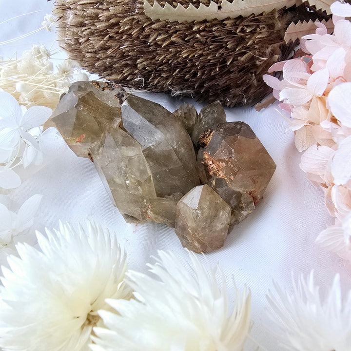 Kundalini Citrine Cluster Specimen