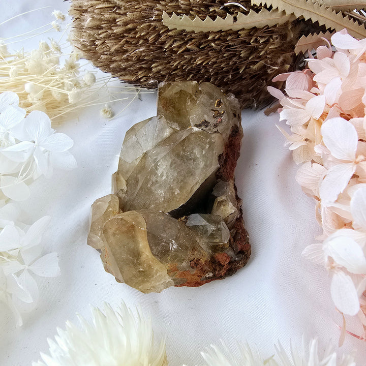 Kundalini Citrine Cluster Specimen