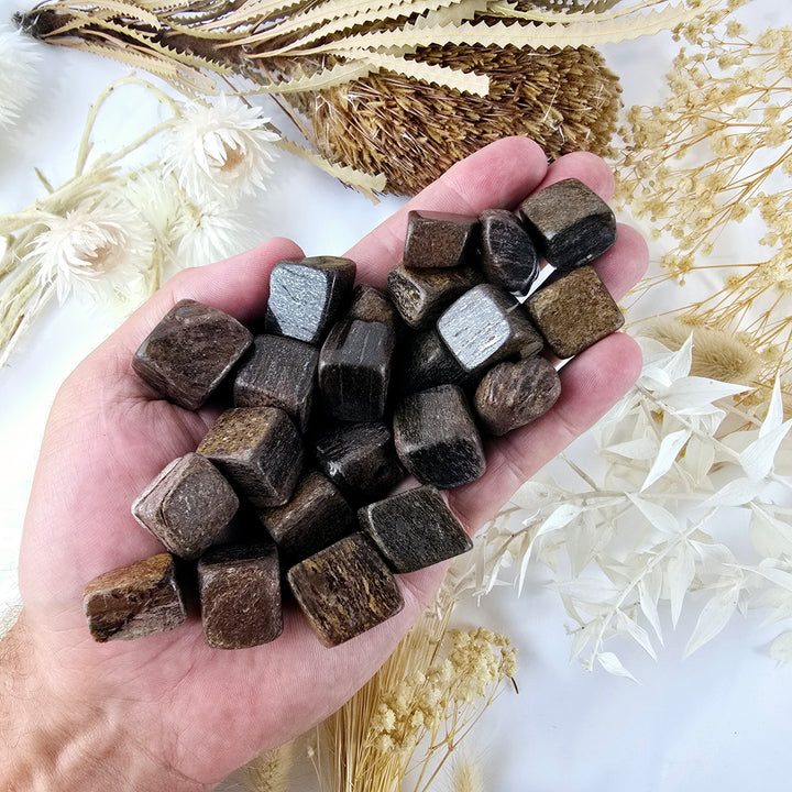 Bronzite Tumbled Stones